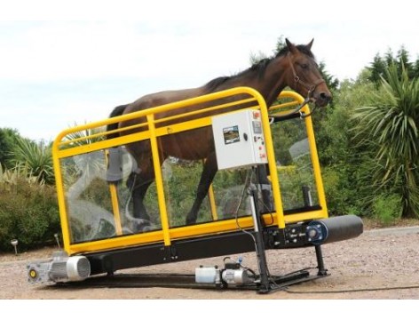 Hippotrainer Horse Treadmill